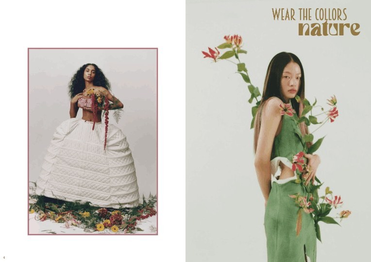Spread van twee pagina's uit hetzelfde magazine